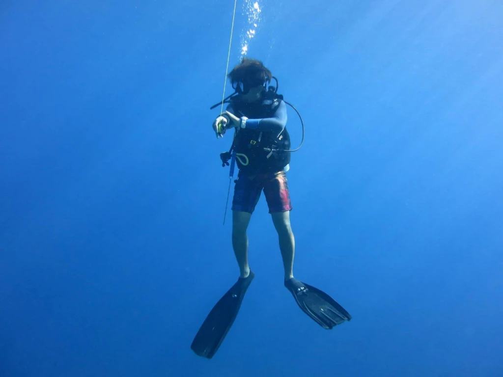 diver safety stop